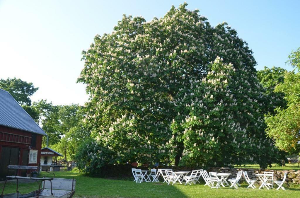 Rosenborgs Friluftspensionat Färjestaden المظهر الخارجي الصورة